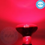 لامپ مادون قرمز فیلیپس 2